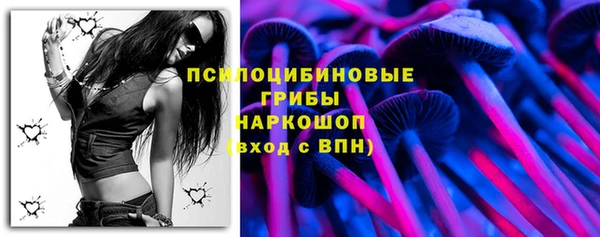 mdpv Богданович
