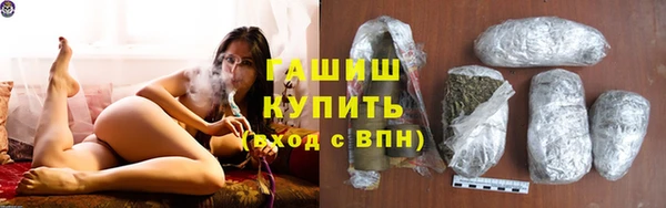 шишки Беломорск