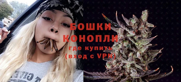 шишки Беломорск