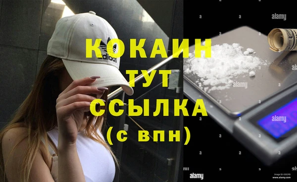 mdpv Богданович