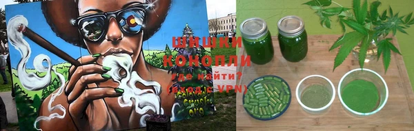 mdpv Богданович